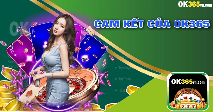 Cam Kết Của Ok365