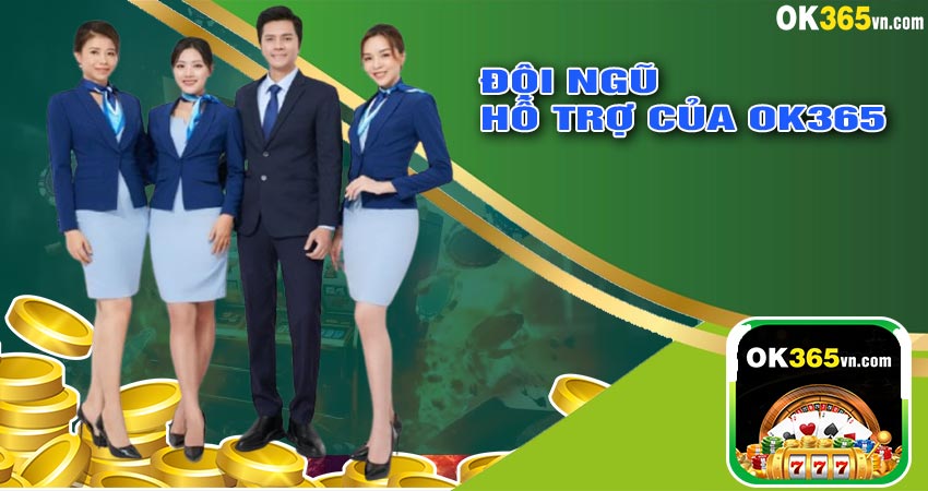 Đội Ngũ Hỗ Trợ Của OK365