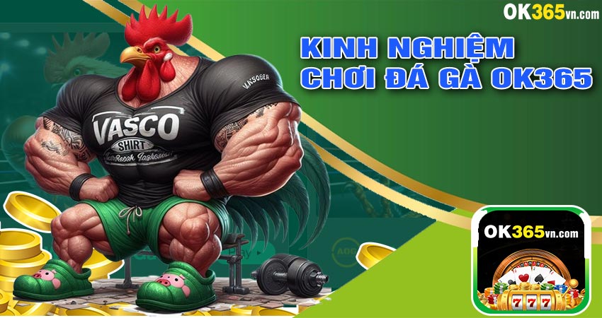 Kinh Nghiệm Chơi Đá Gà OK365 